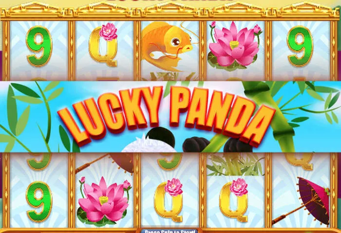 Codes bonus exclusifs Fraga Casino pour des promotions de bienvenue avantageuses.